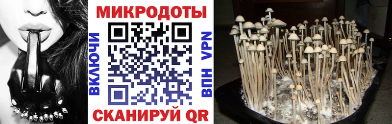 Галлюциногенные грибы прущие грибы  Высоковск 